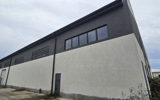 hala Pančevo Industrijska zona Utva spoljašnji izgled